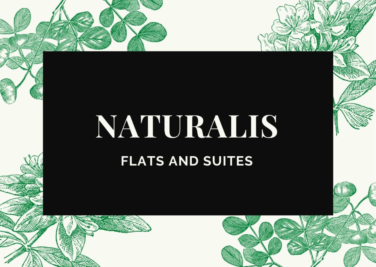 Naturalis Flats Temp Rental Apartment *