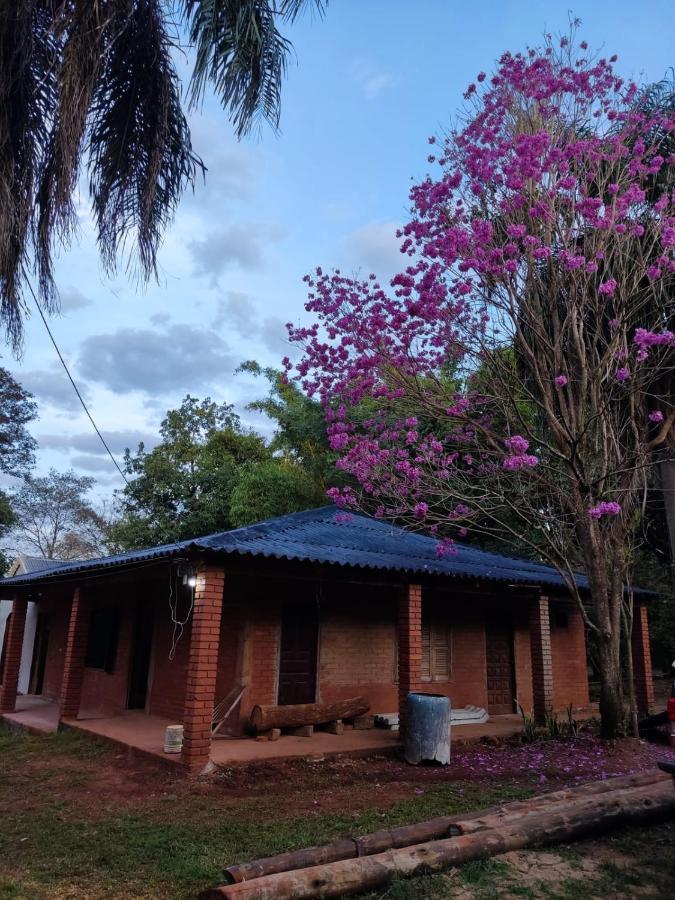Naturalis Flats Temp Rental Apartment Puerto Iguazu