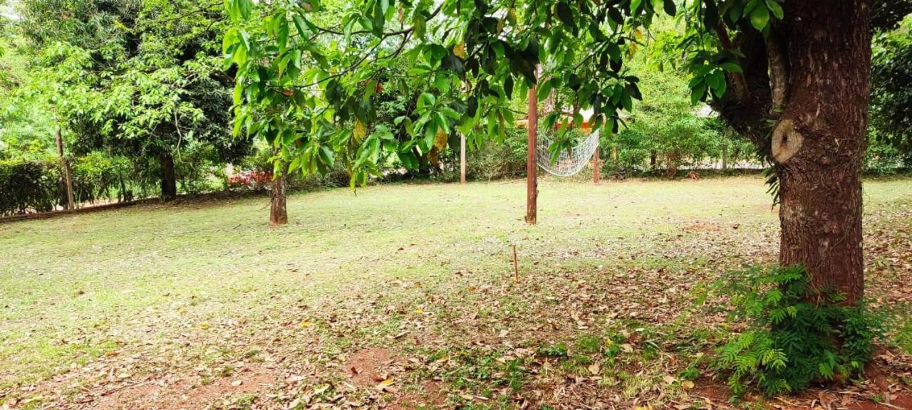 Apartment Naturalis Flats Temp Rental