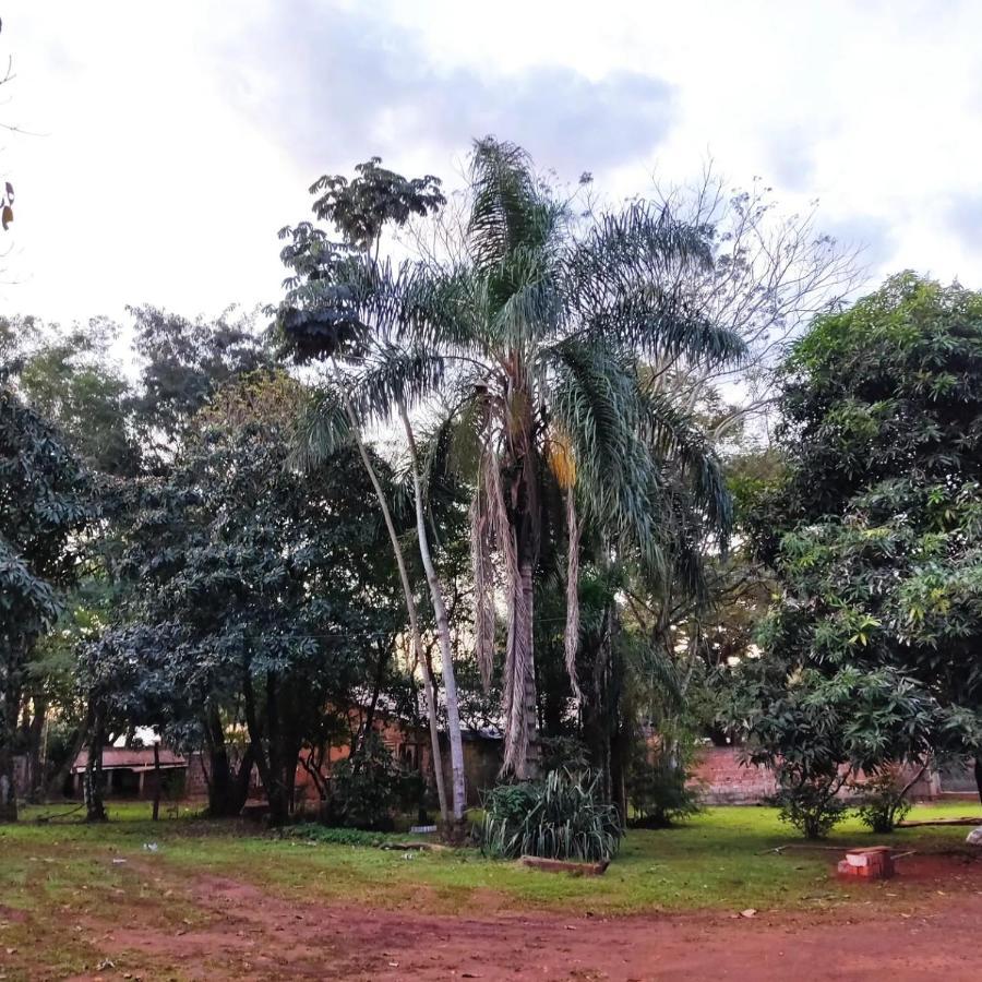 Naturalis Flats Temp Rental Apartamento *