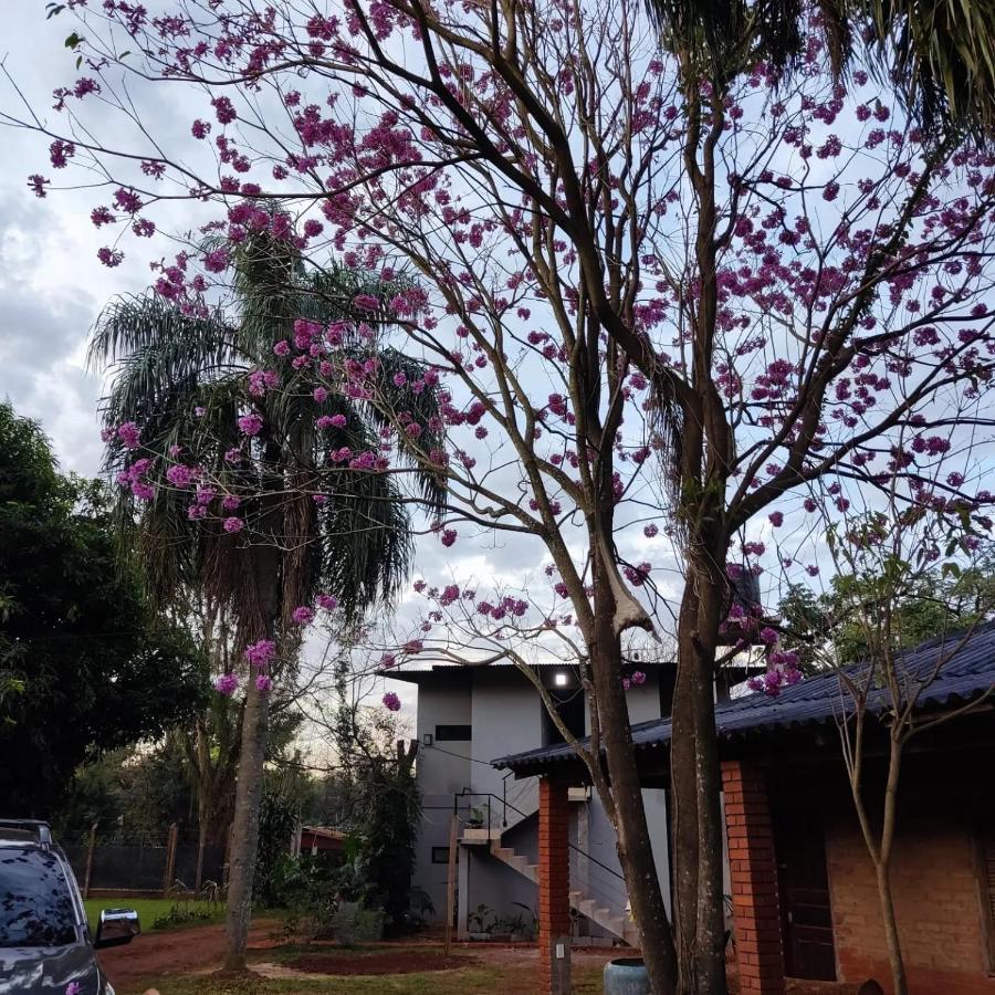 Naturalis Flats Temp Rental Apartamento