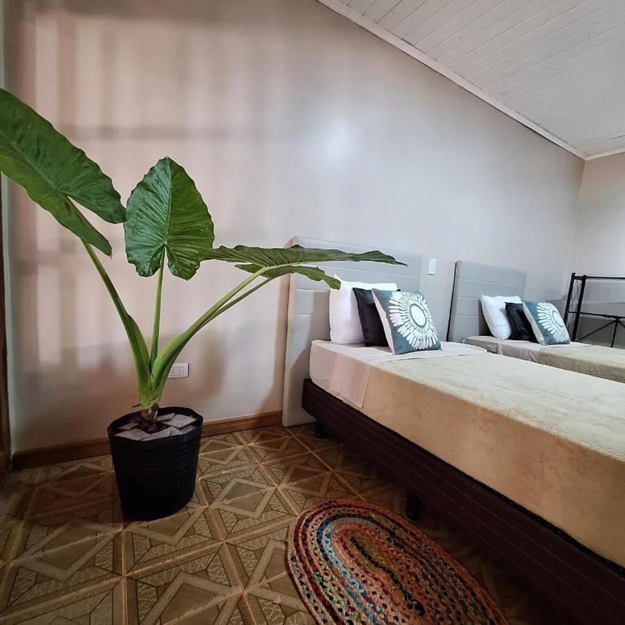 Apartamento Naturalis Flats Temp Rental